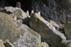 Peștera Humpleu 73