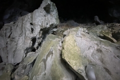 Peștera Humpleu 78