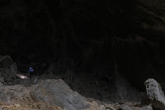 Peștera Humpleu 79