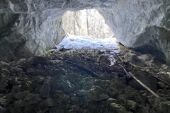 Peștera Humpleu 81