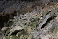 Peștera Humpleu 89