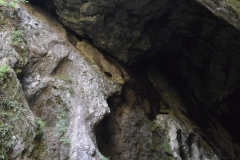 Peștera Liliecilor Cheile Bistritei 13