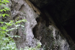 Peștera Liliecilor Cheile Bistritei 19