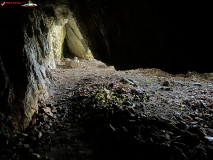 Peștera lui Săbăreanu 27