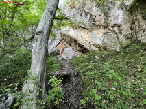 Peștera lui Săbăreanu 29