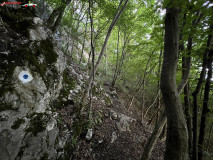 Peștera lui Săbăreanu 30