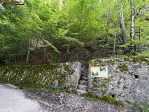 Peștera lui Săbăreanu 32