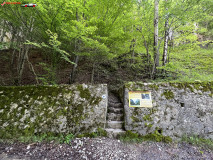 Peștera lui Săbăreanu 34