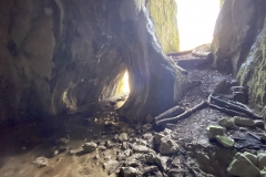 Peștera Moanei 19