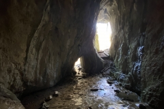 Peștera Moanei 22