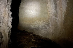 Peștera Moanei 27