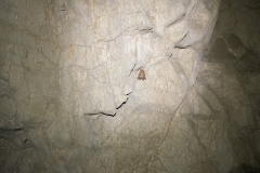Peștera Moanei 34