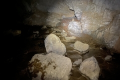 Peștera Moanei 35