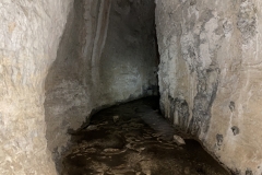Peștera Moanei 36