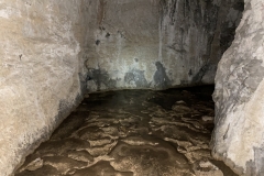 Peștera Moanei 37