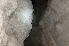 Peștera Moanei 39