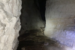 Peștera Moanei 40