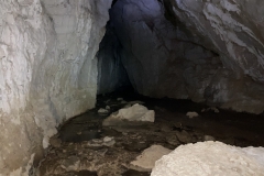 Peștera Moanei 43
