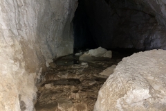 Peștera Moanei 45