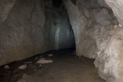 Peștera Moanei 46