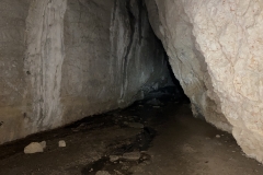 Peștera Moanei 47