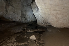 Peștera Moanei 50