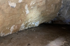 Peștera Moanei 51