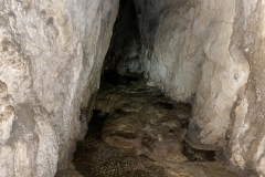 Peștera Moanei 52