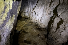 Peștera Moanei 53