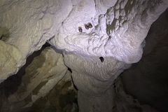 Peștera Moanei 55