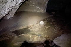 Peștera Moanei 59