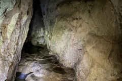 Peștera Moanei 60