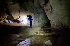 Peștera Moanei 62