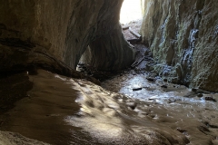 Peștera Moanei 67