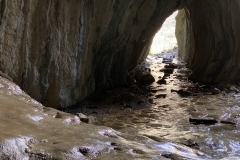 Peștera Moanei 71