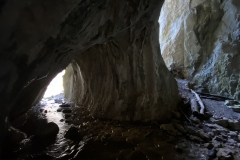 Peștera Moanei 75