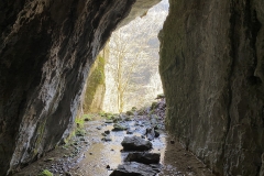 Peștera Moanei 76