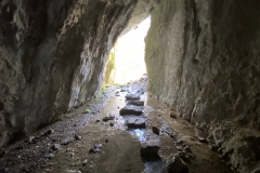 Peștera Moanei 77