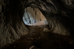 Peștera Moanei 78