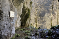 Peștera Moanei 79