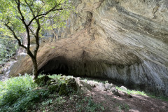 Peștera Osoi 28