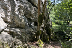 Peștera Osoi 33