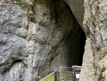 Peștera Poarta lui Ionele octombrie 2023 05