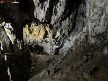 Peștera Polovragi iunie 2023 29