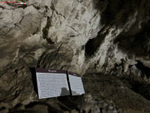 Peștera Polovragi iunie 2023 30