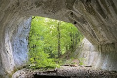 Peștera Porțile Bihorului 31