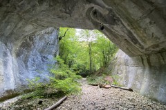 Peștera Porțile Bihorului 57