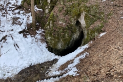 Peștera Râșnoavei 31