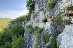 Peștera Sihaștrilor 29