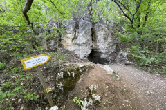 Peștera Sihaștrilor 38